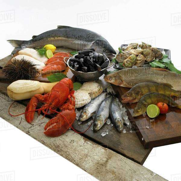 Fish and seafood still life Stock Photo Dissolve