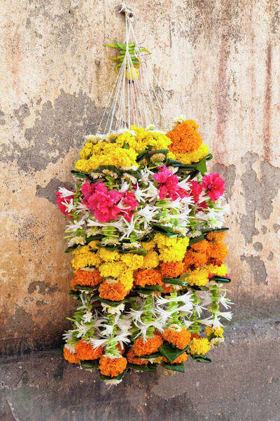 Indian Flower Arrangement - Stock Photo - Dissolve
