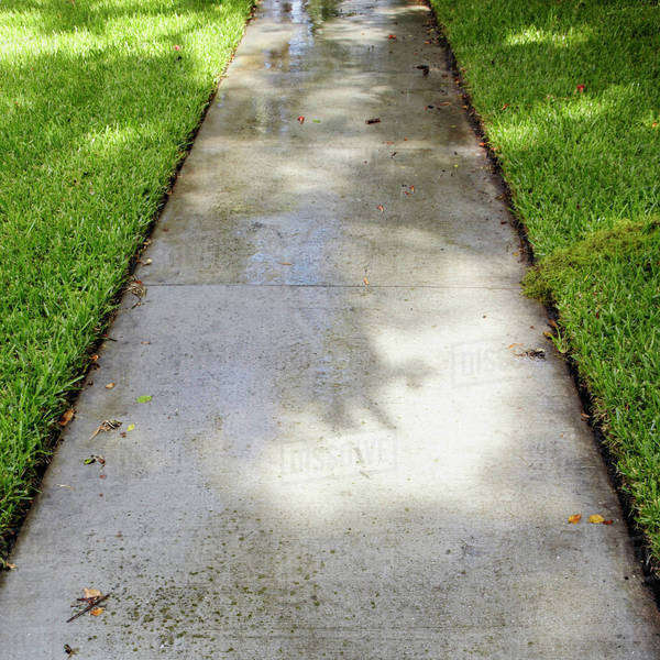 Wet Sidewalk Through Grass Stock Photo Dissolve