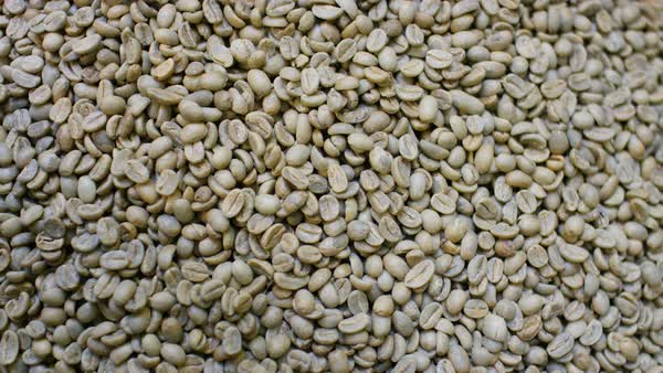 Unroasted Coffee Beans >> Full Frame Shot Of Picked Unroasted Coffee Beans D200 114 041 Unroasted Coffee Beans >> Full Frame Shot Of Picked Unroasted Coffee Beans D200 114 041