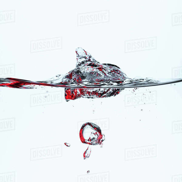 Ice cubes in water with bubbles, isolated on white Stock Photo Dissolve