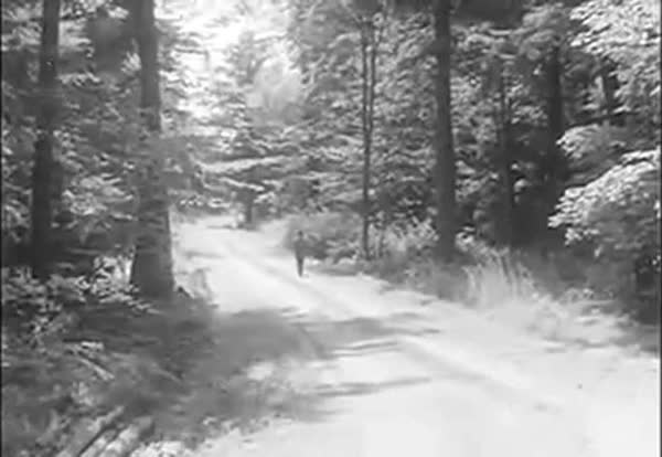 A Man Walks Through A Forest Along A Path Cabins And Spirit Rock