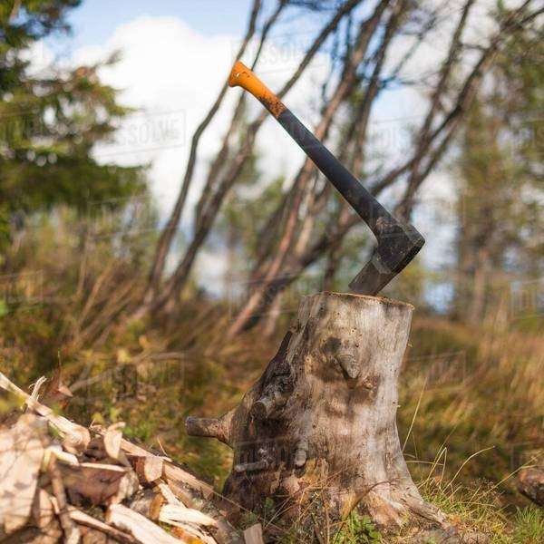 Axe stuck in tree stump Stock Photo Dissolve