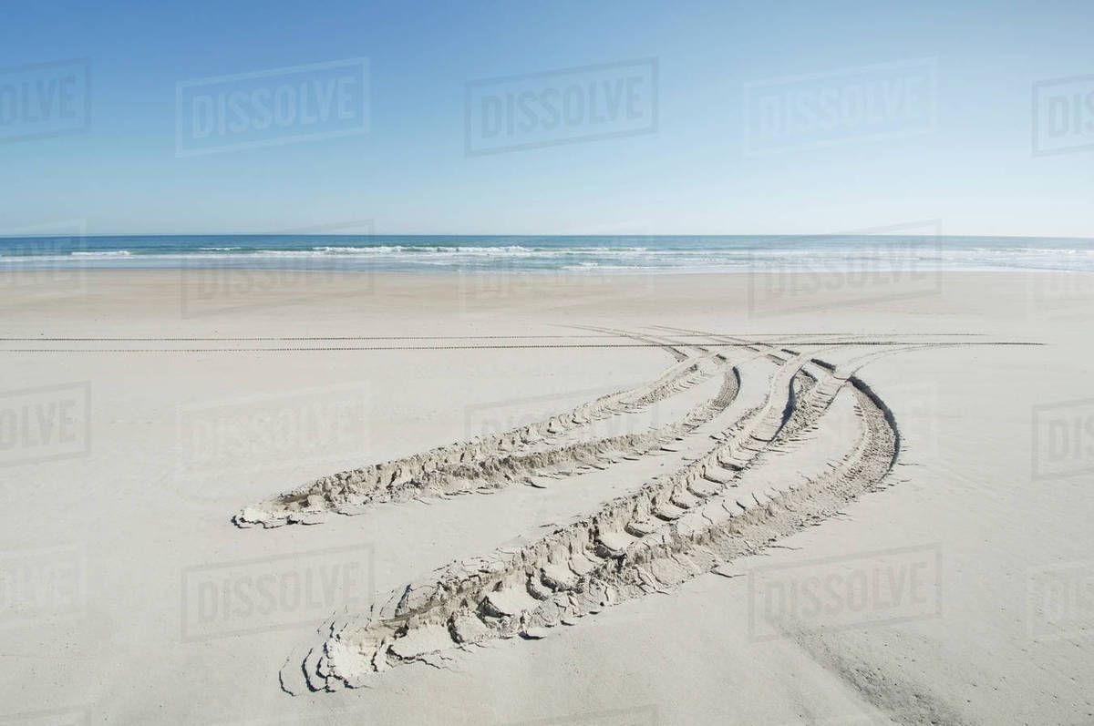 Car tire trail on sand Stock Photo Dissolve