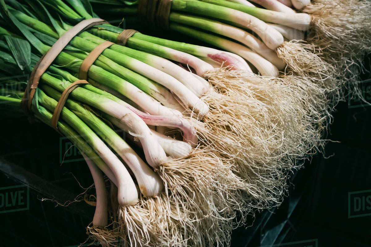 Bundles of spring onions Stock Photo Dissolve