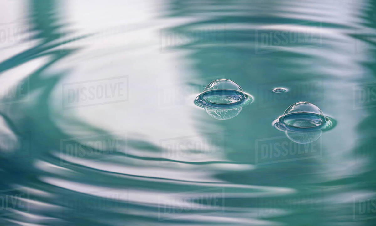 Air bubbles on water surface Stock Photo Dissolve