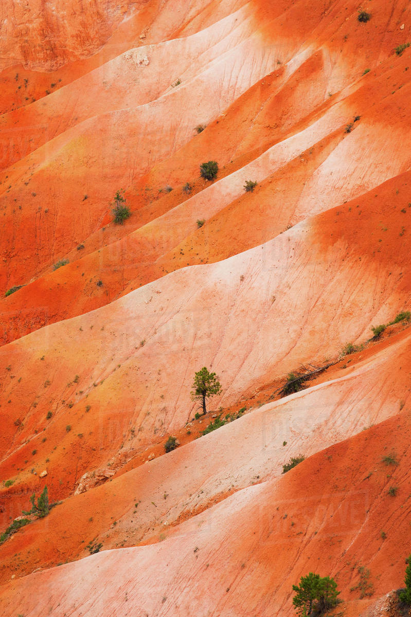 Elevated view of barren land Stock Photo Dissolve