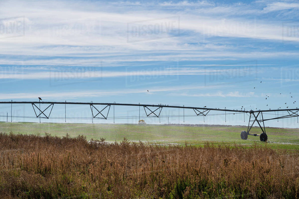USA, New Mexico, Farmington, Irrigation system in field Stock Photo