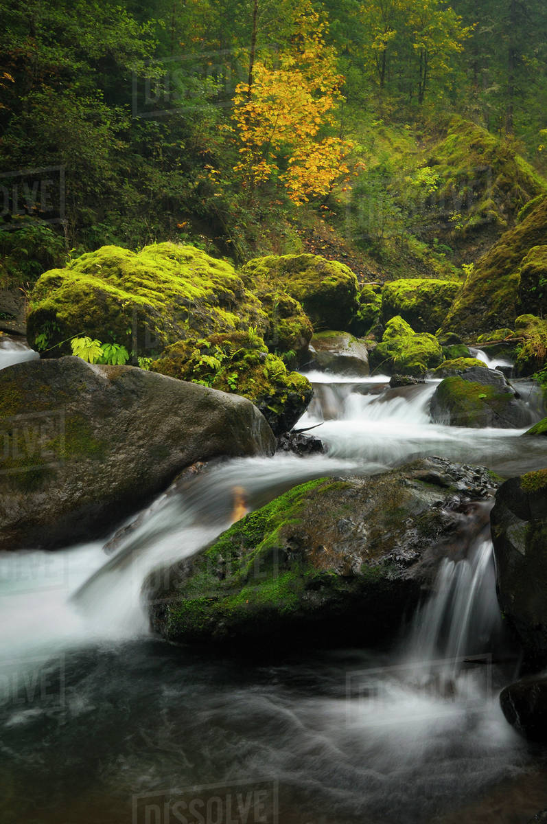 USA, Oregon, Eagle Creek Stock Photo Dissolve
