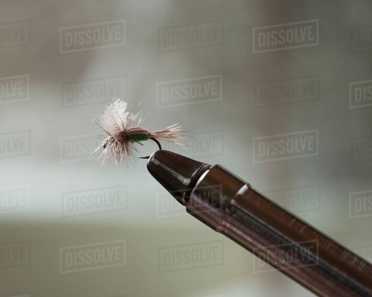 Fly Fishing Hook Stock Photo Dissolve