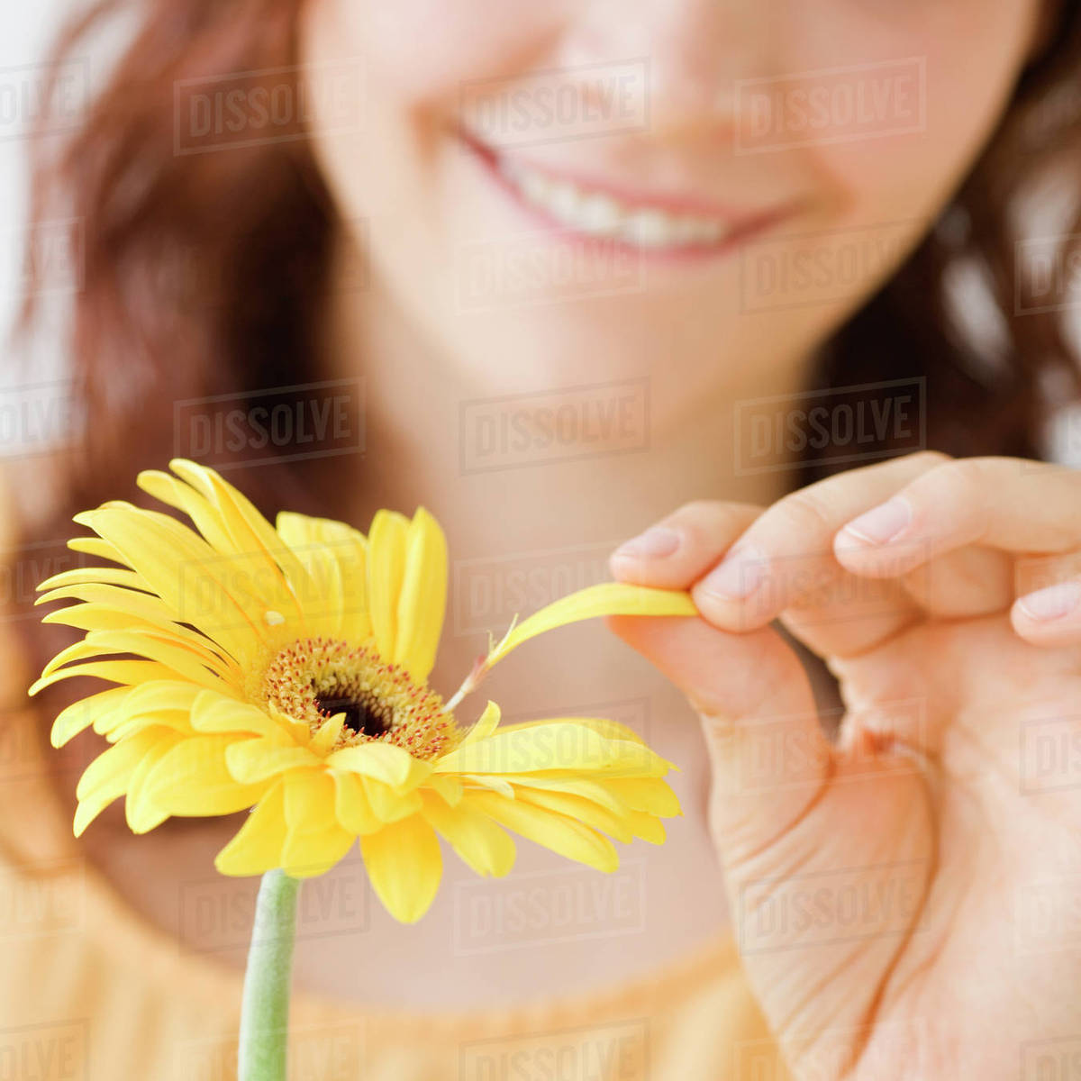 Teenage girl plucking flower petal Stock Photo Dissolve