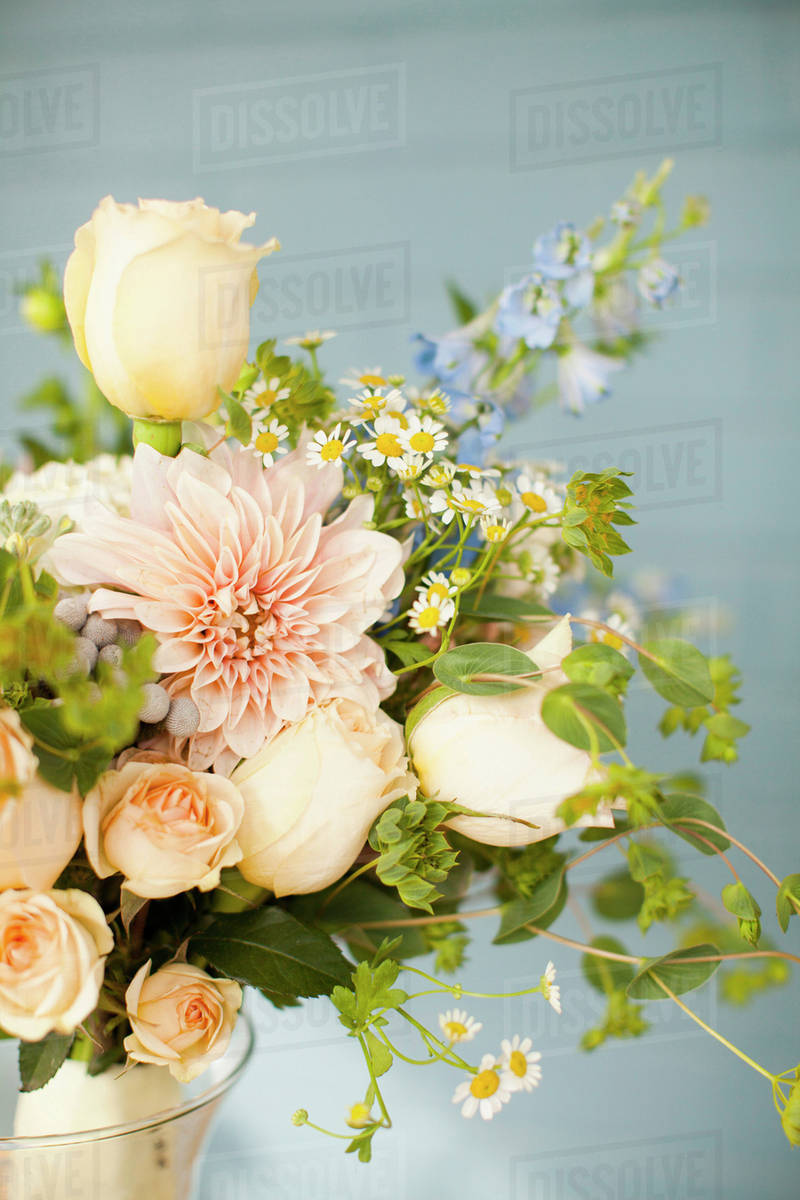 Bunch of cream colored flowers Stock Photo Dissolve