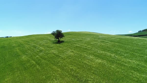 aerial picturesque shot of