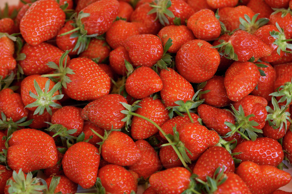 Fresh strawberries (filling the picture) Stock Photo Dissolve