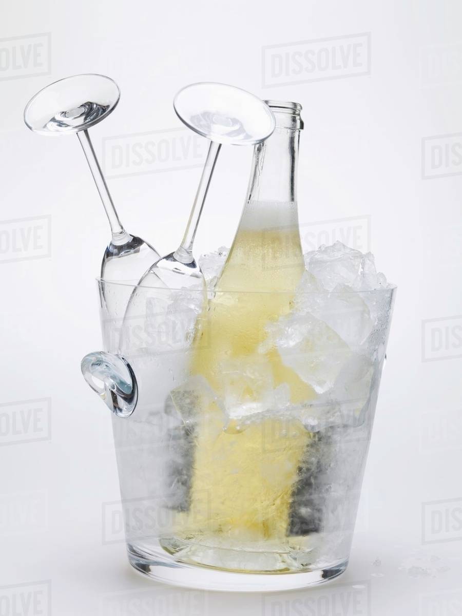 wine glass ice bucket