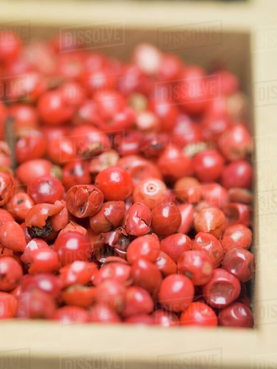 Red peppercorns Stock Photo Dissolve