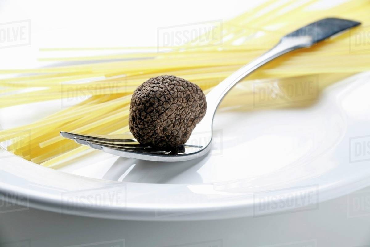 Black truffle (Chinese truffle) on fork & spaghetti on plate Stock