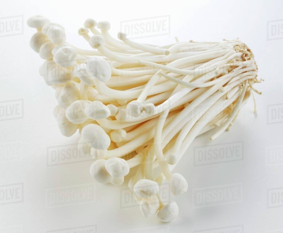 Fresh enoki mushrooms Stock Photo Dissolve