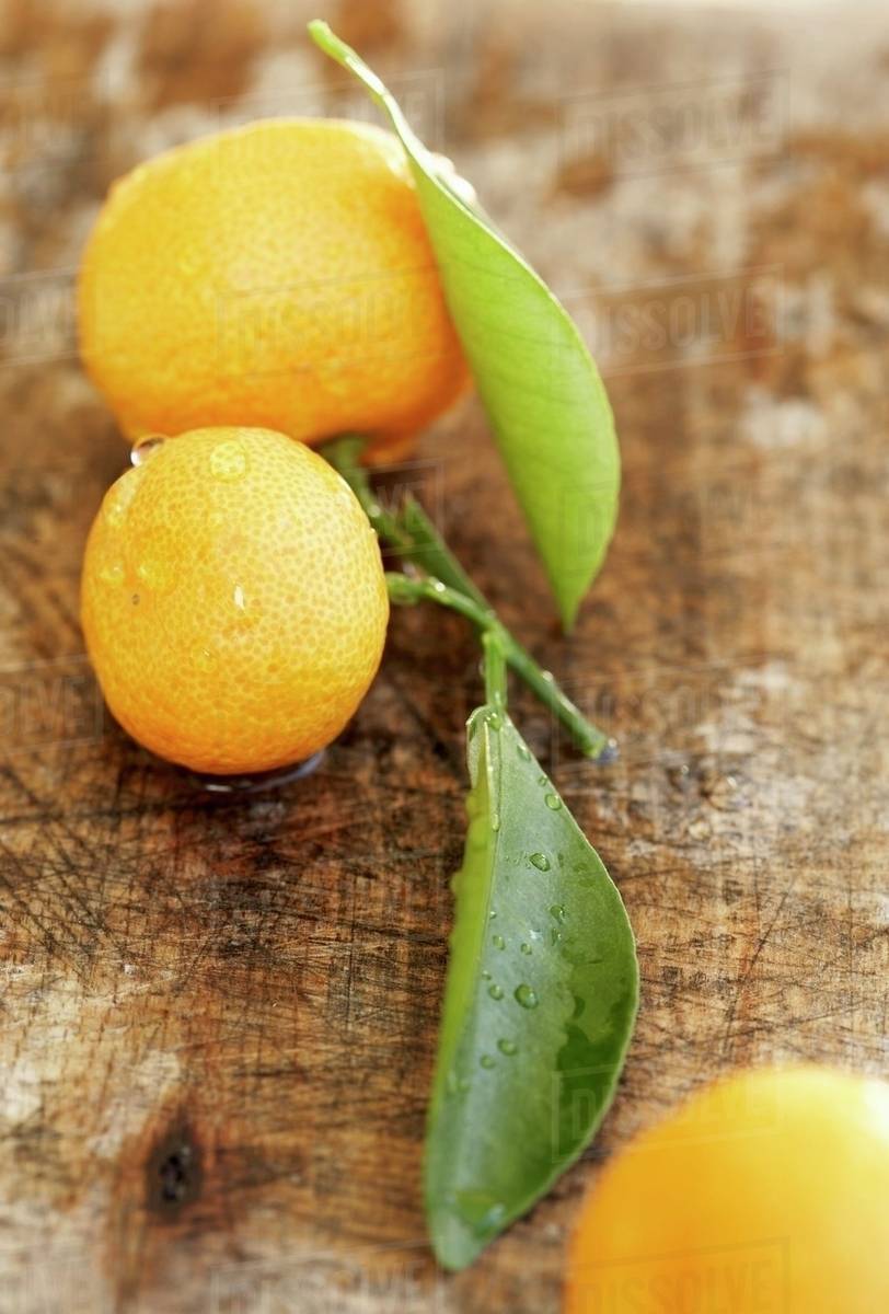 Ornamental oranges with leaves on wooden background Stock Photo