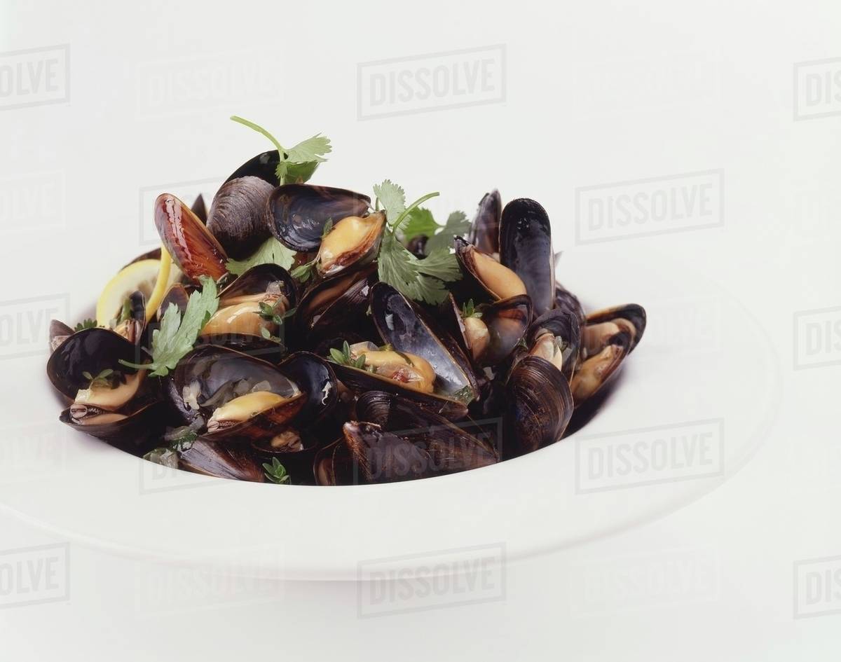 Cooked mussels Stock Photo Dissolve