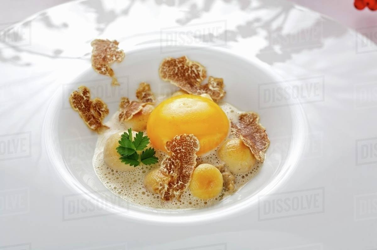 Raw egg with truffle and button mushrooms Stock Photo Dissolve