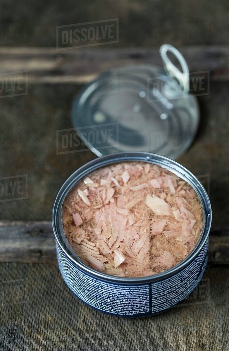 An open tin of tuna fish Stock Photo Dissolve
