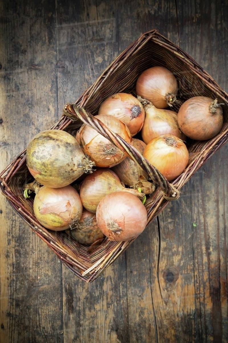 A basket of onions Stock Photo Dissolve
