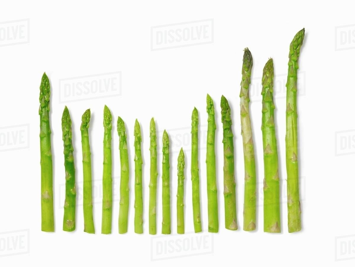 Green asparagus (diagram) Stock Photo Dissolve