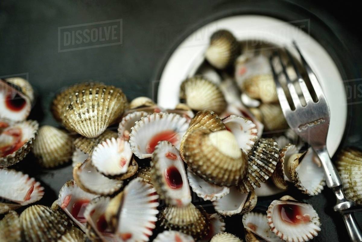 Fresh clams with a fork (seen from above) Stock Photo Dissolve
