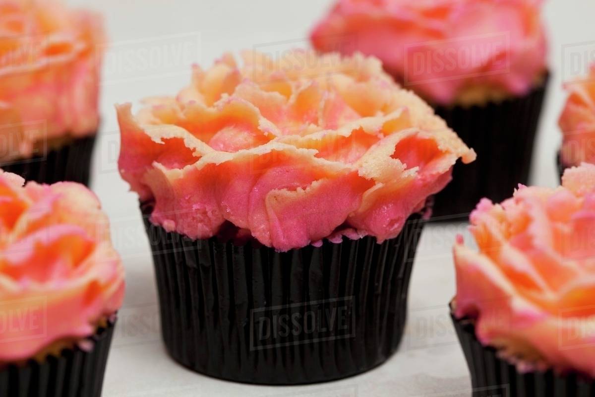 Rose water cupcake Stock Photo Dissolve