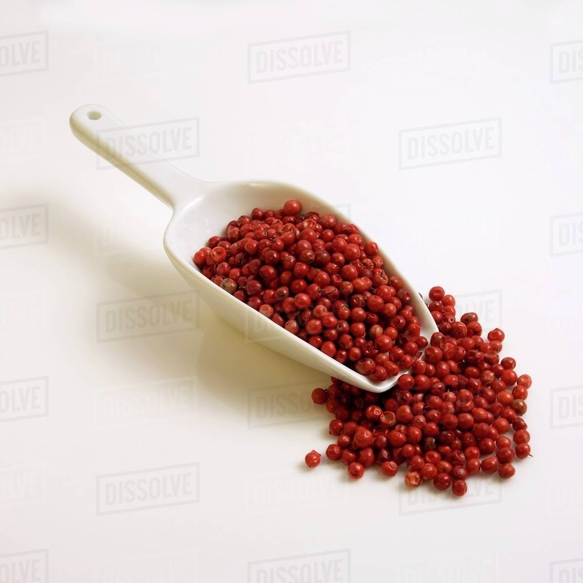 Whole red peppercorns in white scoop Stock Photo Dissolve