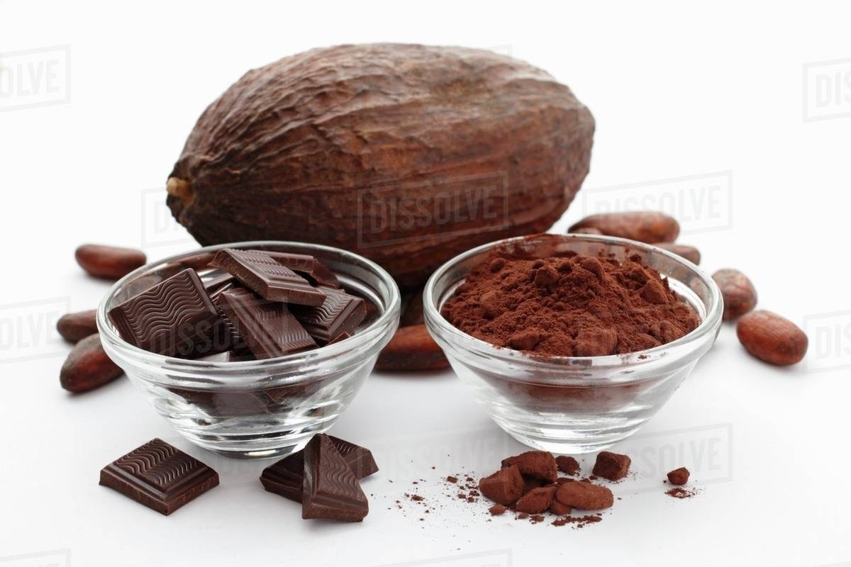 Chocolate squares, cocoa powder, cocoa beans and a cocoa