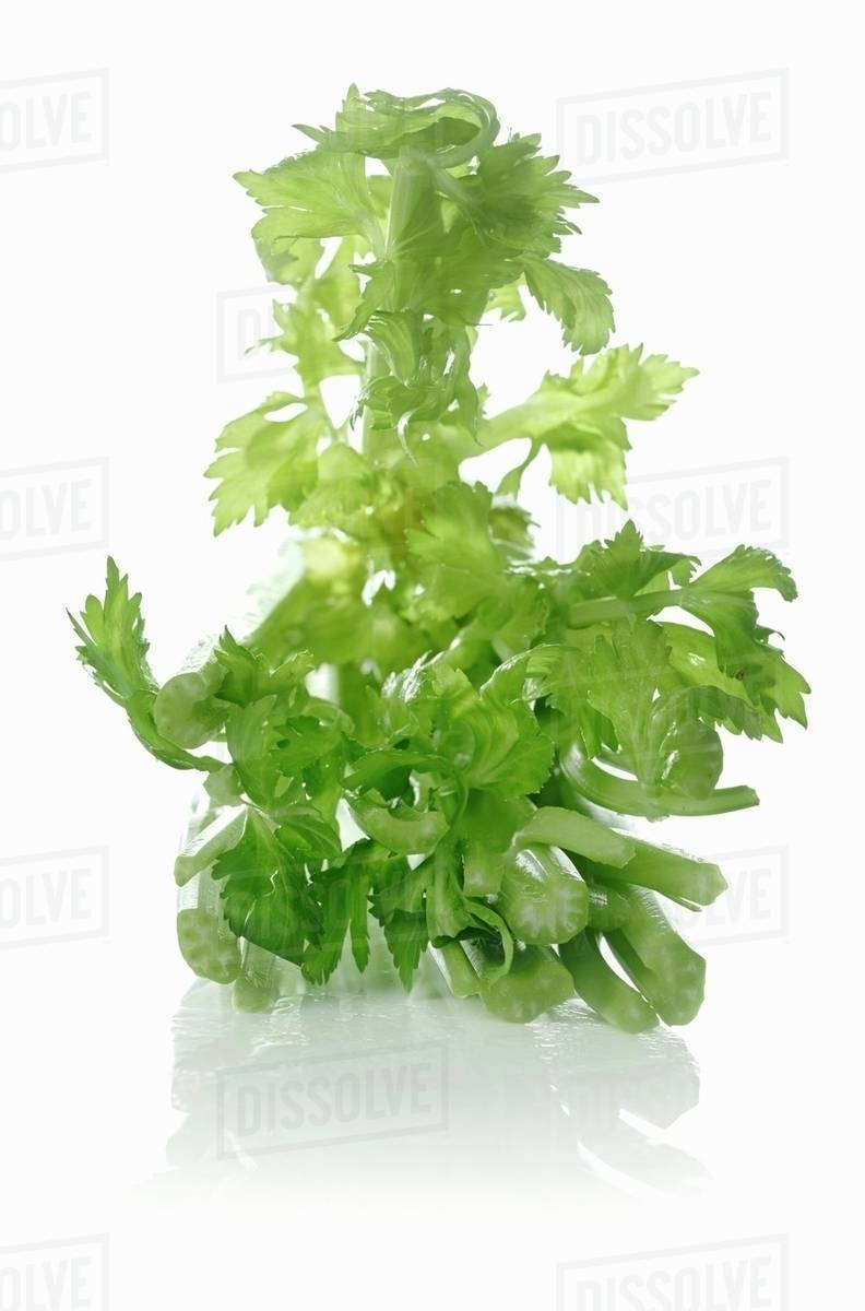 Fresh celery Stock Photo Dissolve
