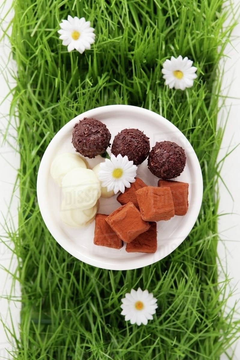 Assorted chocolates in artificial grass Stock Photo Dissolve