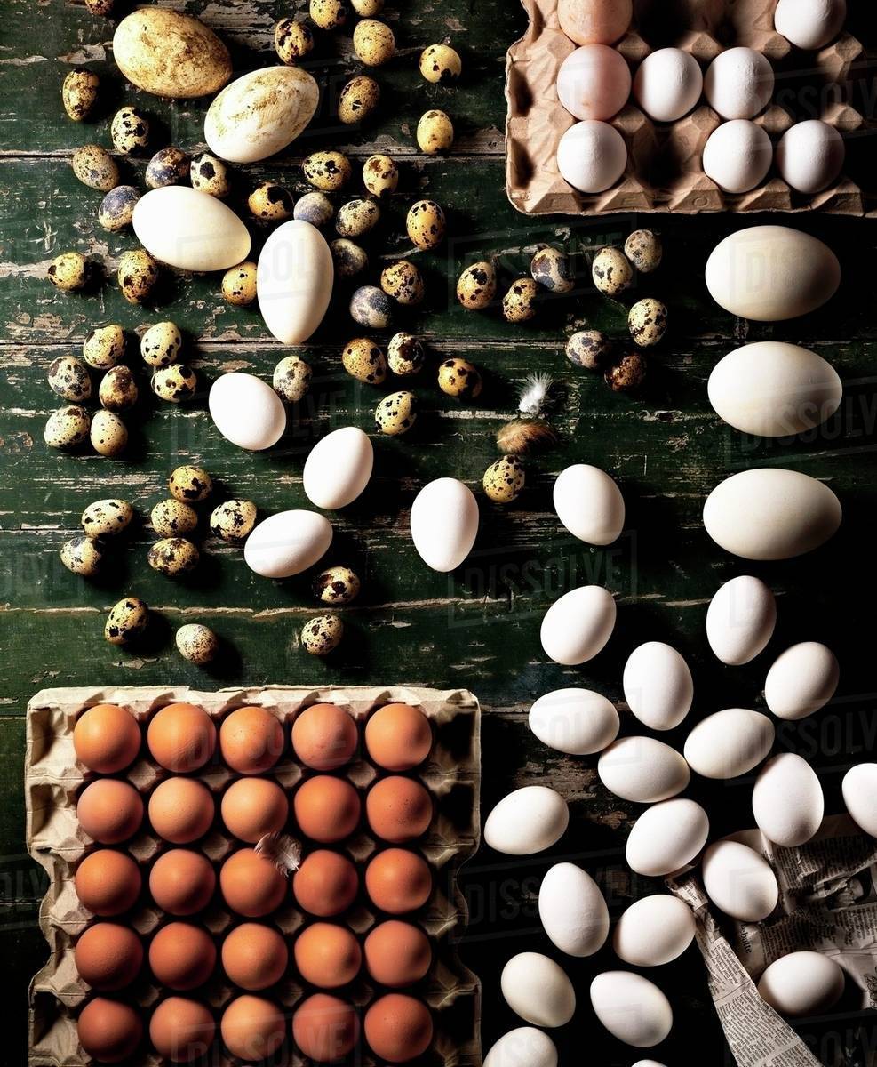 Assorted eggs on a wooden board Stock Photo Dissolve