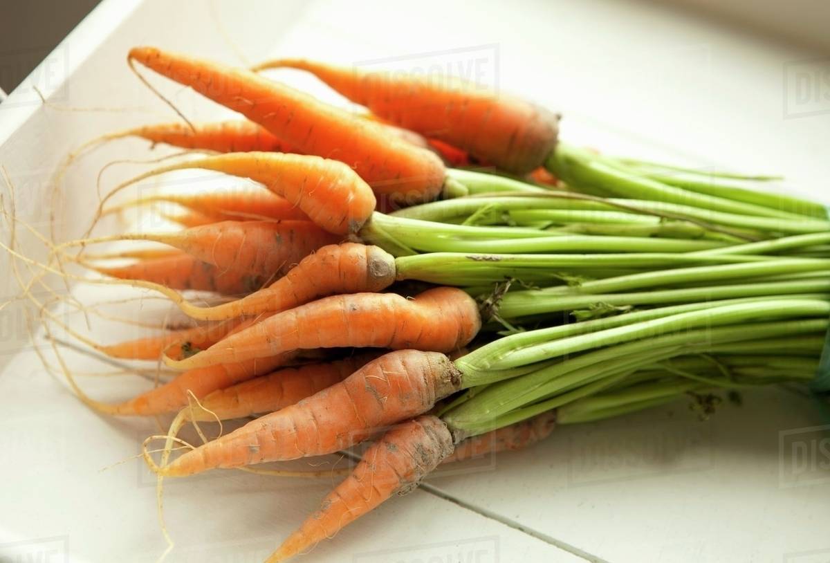 A Bunch of Organic Baby Carrots with Stems Stock Photo Dissolve