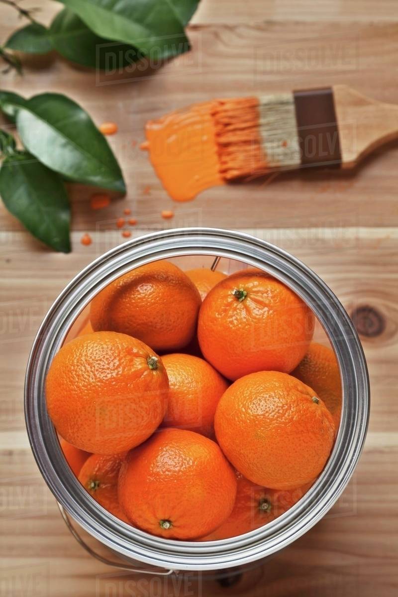 Oranges In A Paint Can With Brush Orange Stock Oranges In A Paint Can With Brush Orange