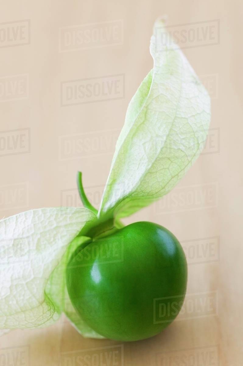 Tomatillo with Husk Peeled Back Stock Photo Dissolve