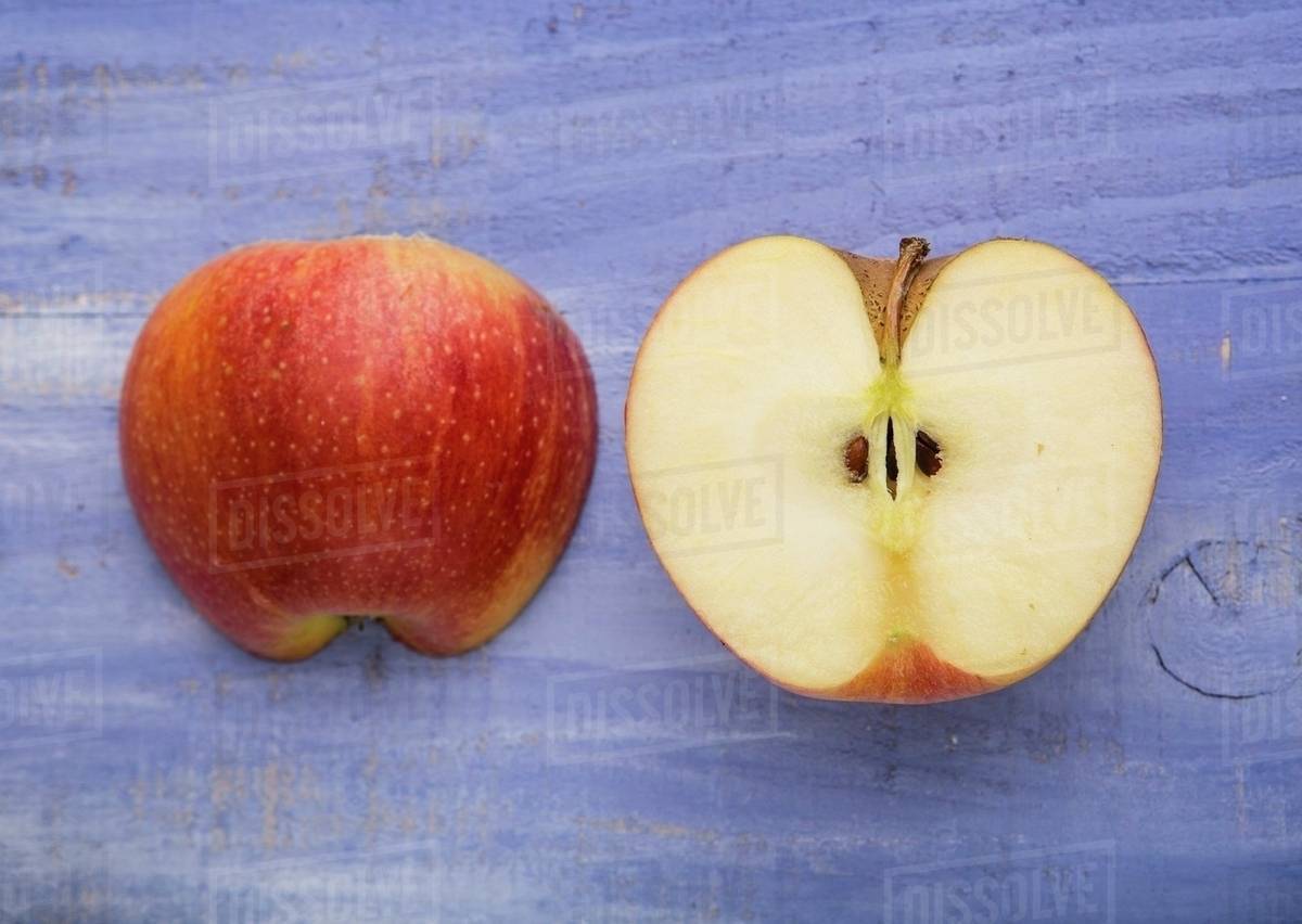 What Does 'Equal Parts' Mean?