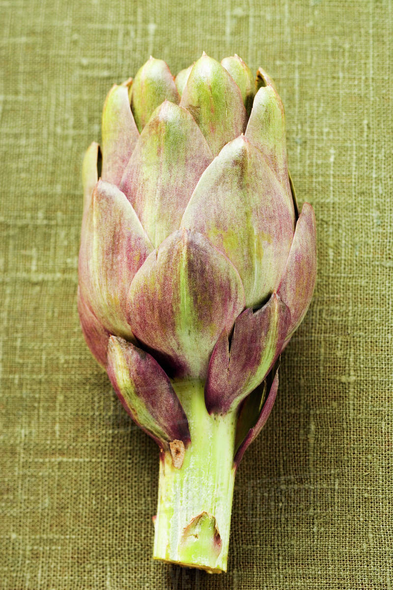 Fresh Artichoke Stock Photo Dissolve