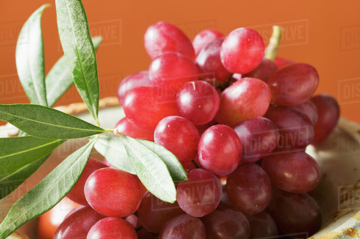 Red grapes in bowl Stock Photo Dissolve