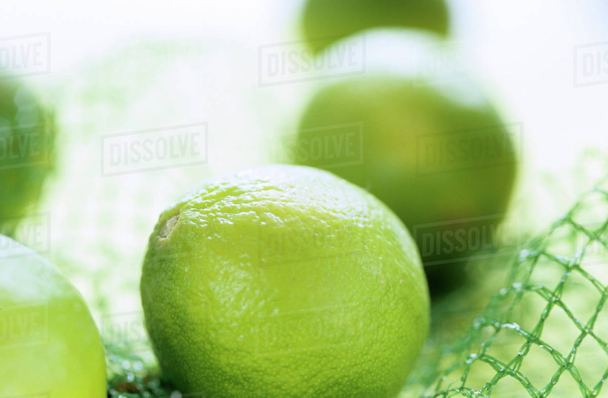 Limes in net, extreme close up Stock Photo Dissolve