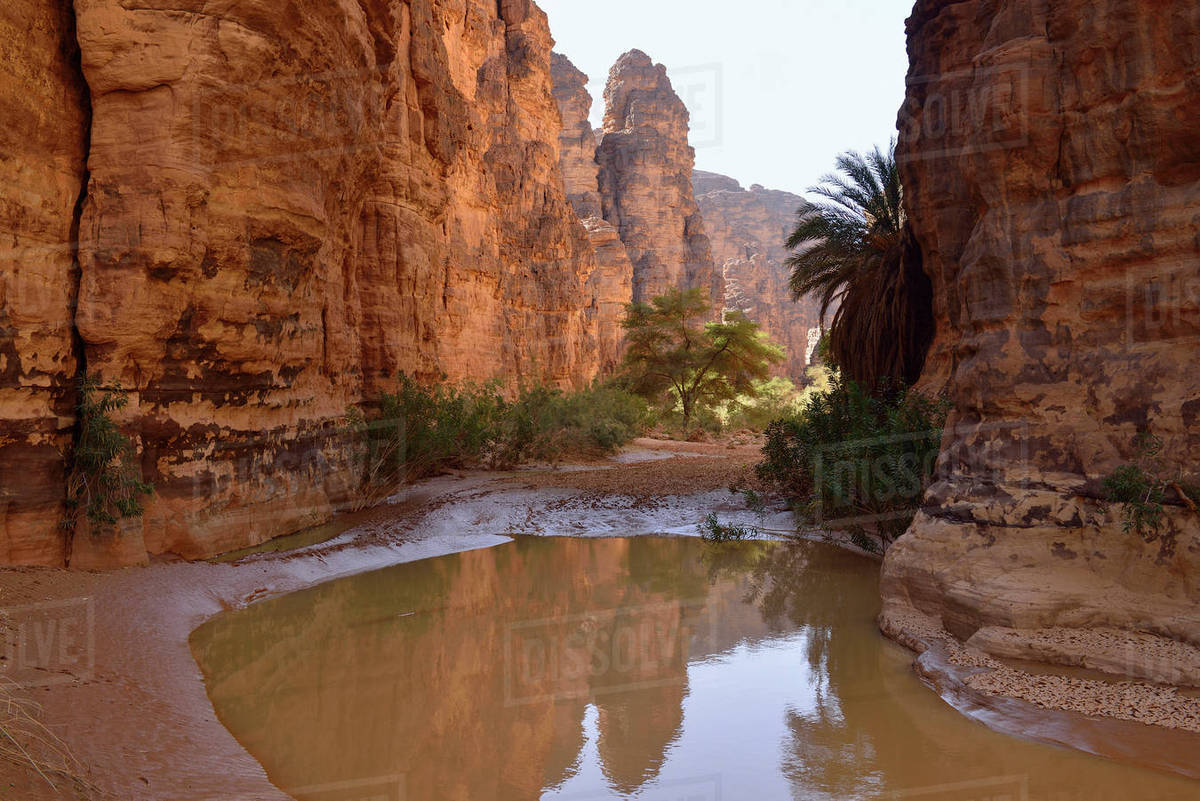 Algeria,Tassili n'Ajjer National Park, Oued Essendilene, Waterhole in Oued Essendilene Stock Algeria,Tassili n'Ajjer National Park, Oued Essendilene, Waterhole in Oued Essendilene Stock