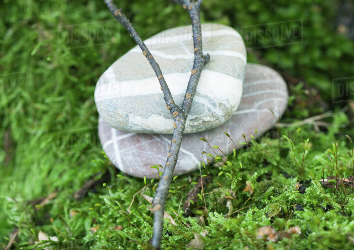 Pebbles stacked on moss Stock Photo Dissolve