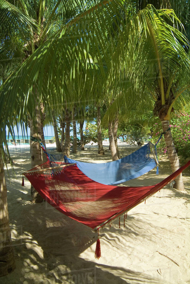 Hammocks on the beach Stock Photo Dissolve