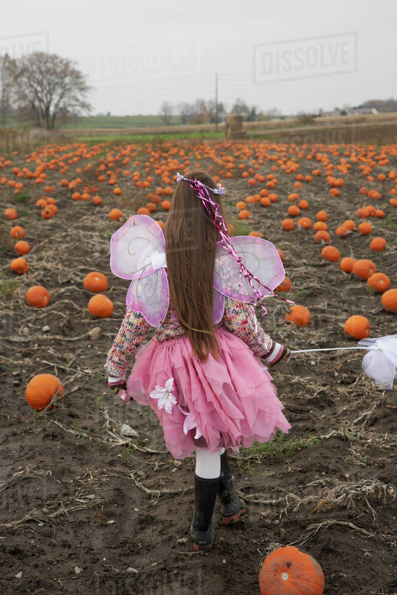 Girl dressed as fairy in pumpkin patch Royalty-free stock photo