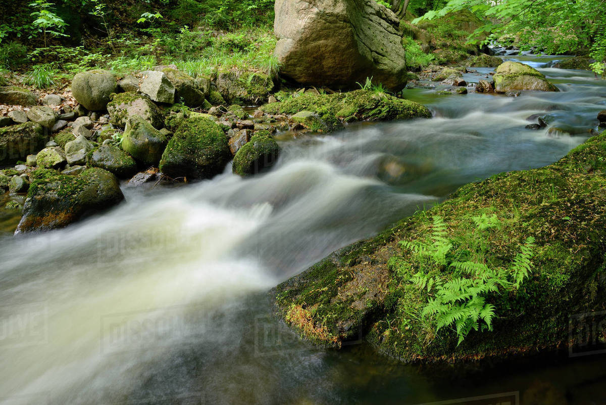 Single track harz