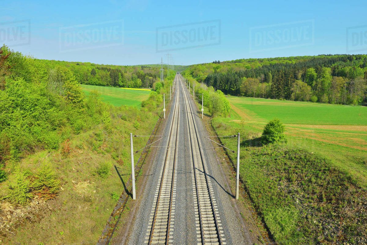 Single zellingen