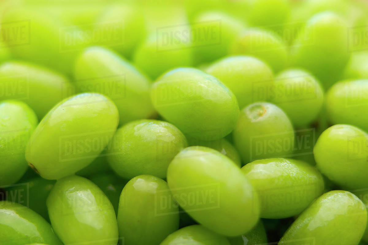 Pile of fresh wet green grapes Stock Photo Dissolve