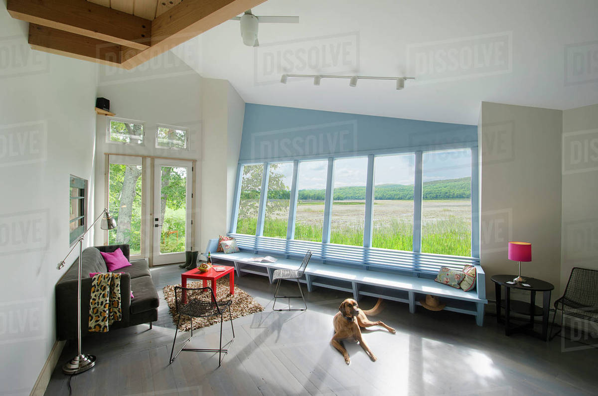 Pet Dog Relaxing In Living Room With Field View Through Bay Window